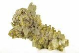 Lustrous Forest-Green Pyromorphite Crystal Cluster - China #260974-1